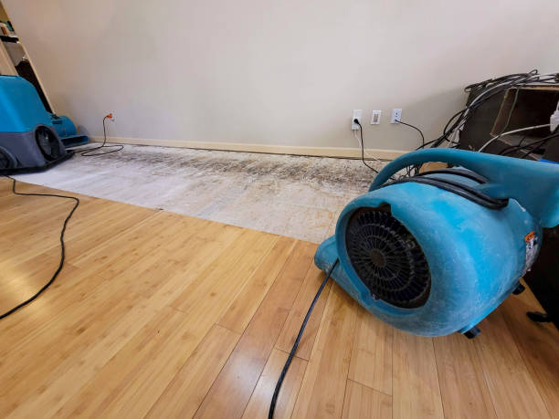Reliable Basement Flood Cleanup contractor in Tow, TX by Hirex Water Damage