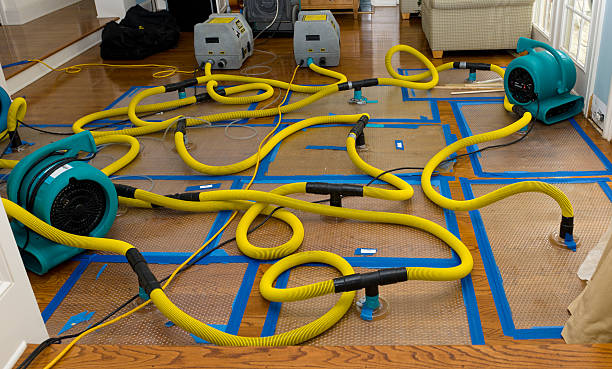 Professional Basement Flood Cleanup technician working in Tow, TX
